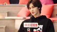 娱乐吃瓜君邢菲,娱乐吃瓜界的“瓜王”，揭秘娱乐圈幕后故事