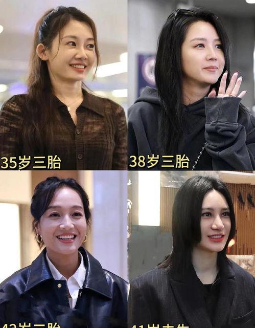 娱乐圈吃瓜爽文合集,揭秘明星幕后真相，吃瓜爽文大合集